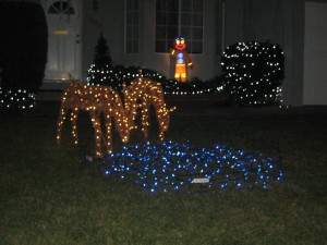 Severns-Pease-Christmas-Display-Dave-Severns-Sunnyvale