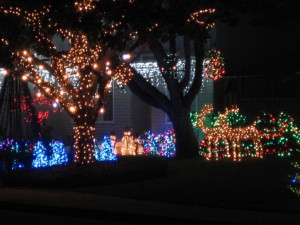 Severns-Pease-Christmas-Display-Dave-Severns-Sunnyvale