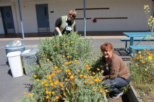 Beautiful-Day-Pomeroy-Elementary-Santa-Clara-CA-volunteers-2012