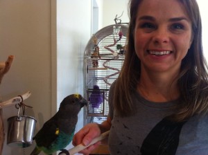 Mickaboo-Companion-Bird-Rescue-Jaime-Bodiford-by-Pam-Marino