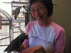 Mickaboo-Companion-Bird-Rescue-Pamela-Lee