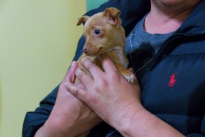 Winston with a guest of the Faith In Action Silicon Valley Rotating Shelter.