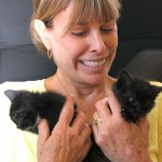 Grief Transforms to Joy Through Fostering Kittens 